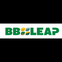 BBleap